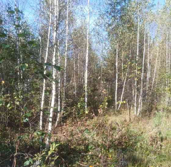 Земельный участок, 14.91 сотки Электрогорск