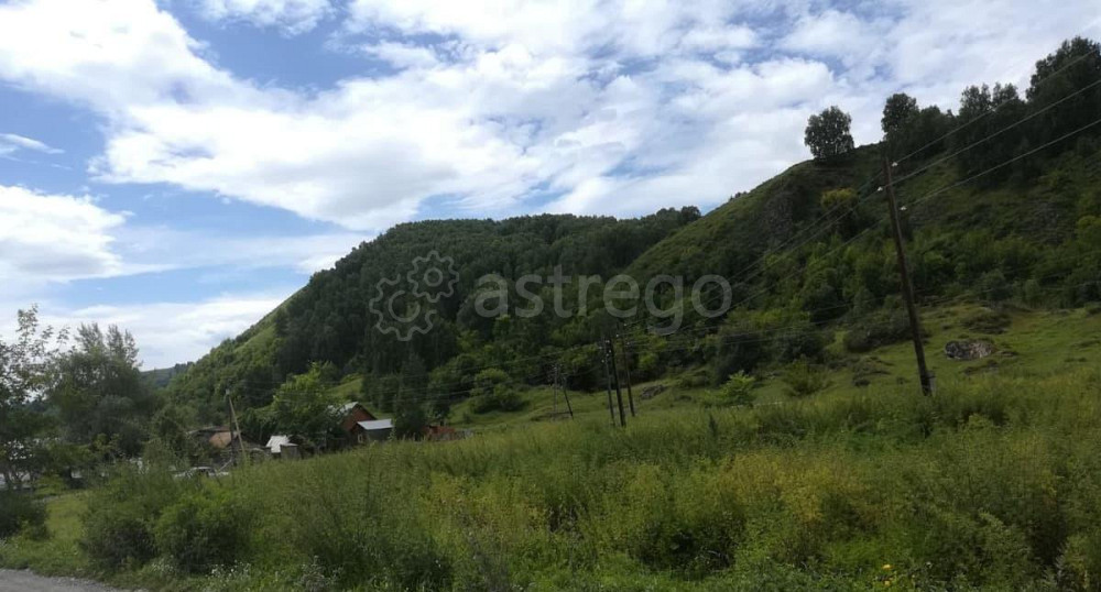 Земельный участок, 17 соток Алтайское - изображение 2