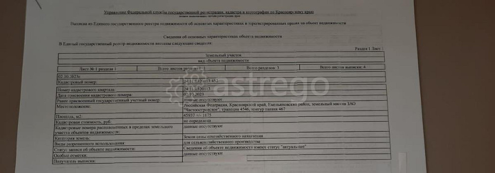 Земельный участок, 4.6 га Емельяново - изображение 3