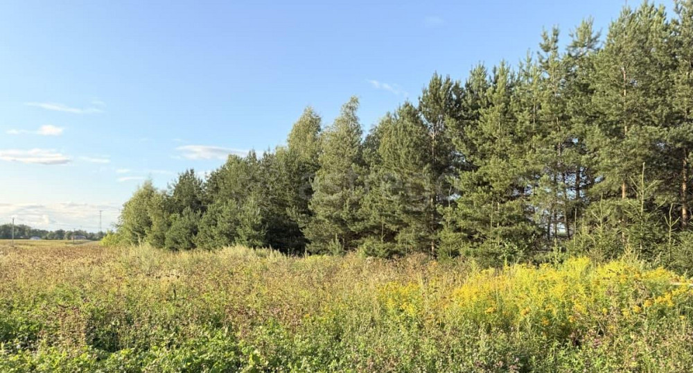 Земельный участок, 7 соток Пушкино - изображение 3