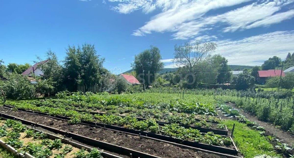 Дом, 227 м2, 12.5 сотки, 2 эт. Белокуриха - изображение 2