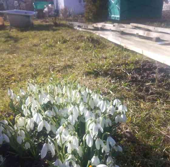 Земельный участок, 30.6 сотки Свободный