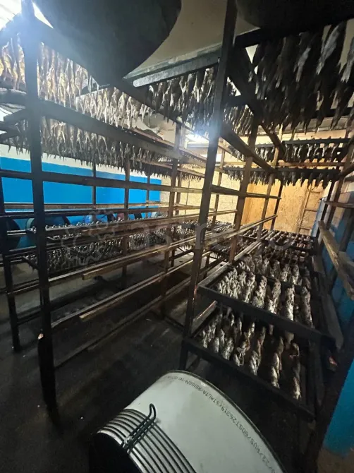 Продам рыбное Производство Емельяново - изображение 4