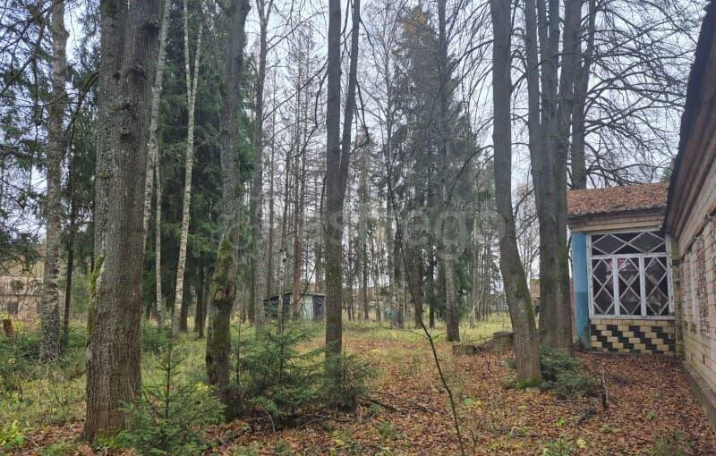 Коммерческий участок, 8.39 га Можайск - изображение 2