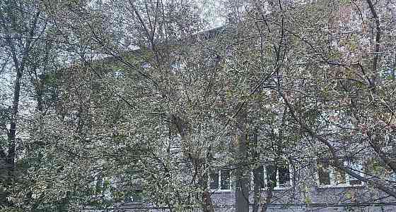 Студия, 14 м2, 3/5 эт. Красноярск