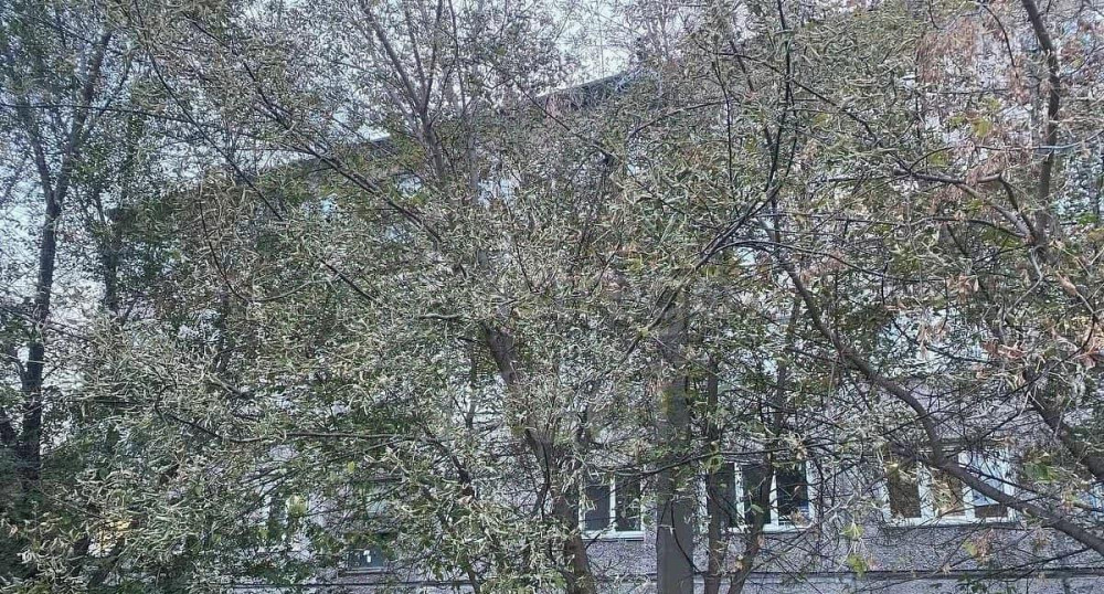 Студия, 14 м2, 3/5 эт. Красноярск - изображение 6