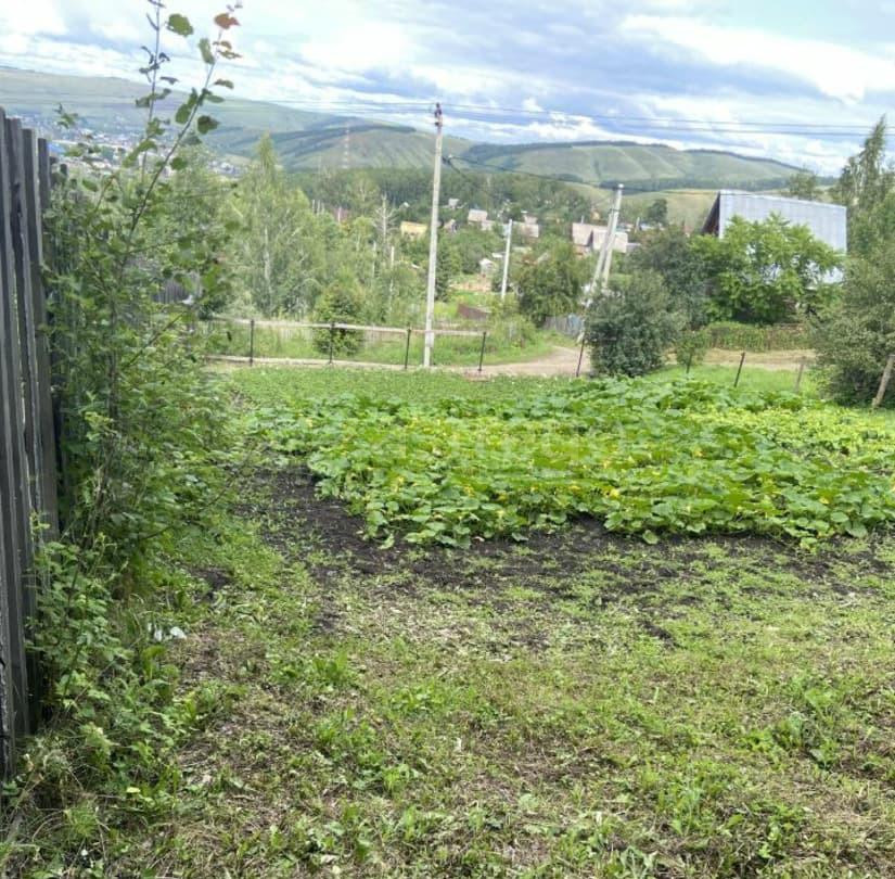 Земельный участок, 6 соток Березовка - изображение 6