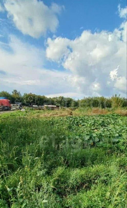 Земельный участок, 15 соток Красноярск - изображение 6