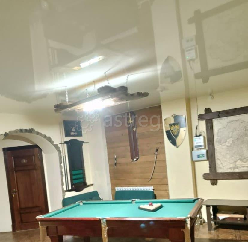 Готовый бизнес, 425 м2 Алтайское - изображение 2