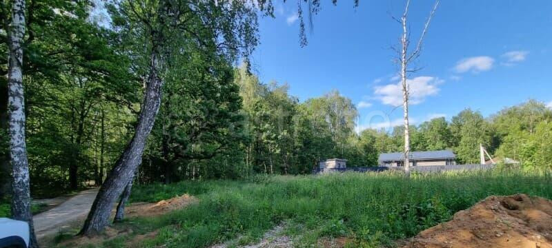 Земля под ИЖС, 9 соток Москва - изображение 6