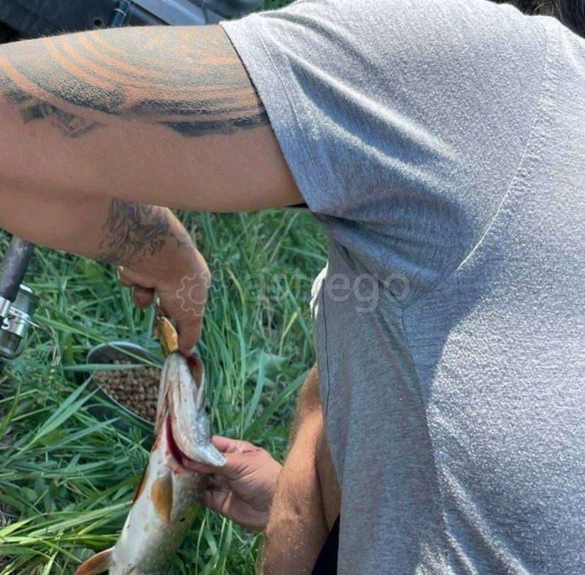 Земельный участок, 7.2 га Белокуриха - изображение 3