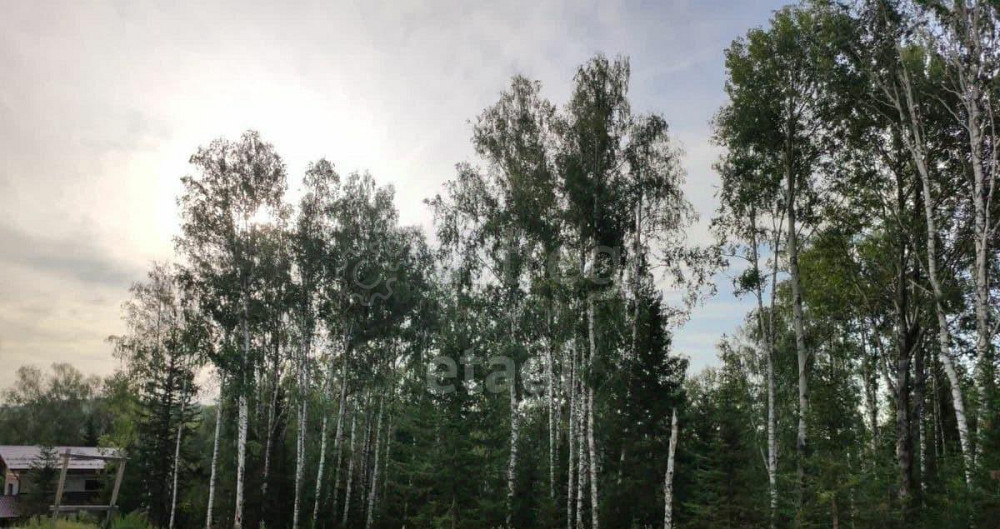 Земельный участок, 18.1 сотки Белокуриха - изображение 7