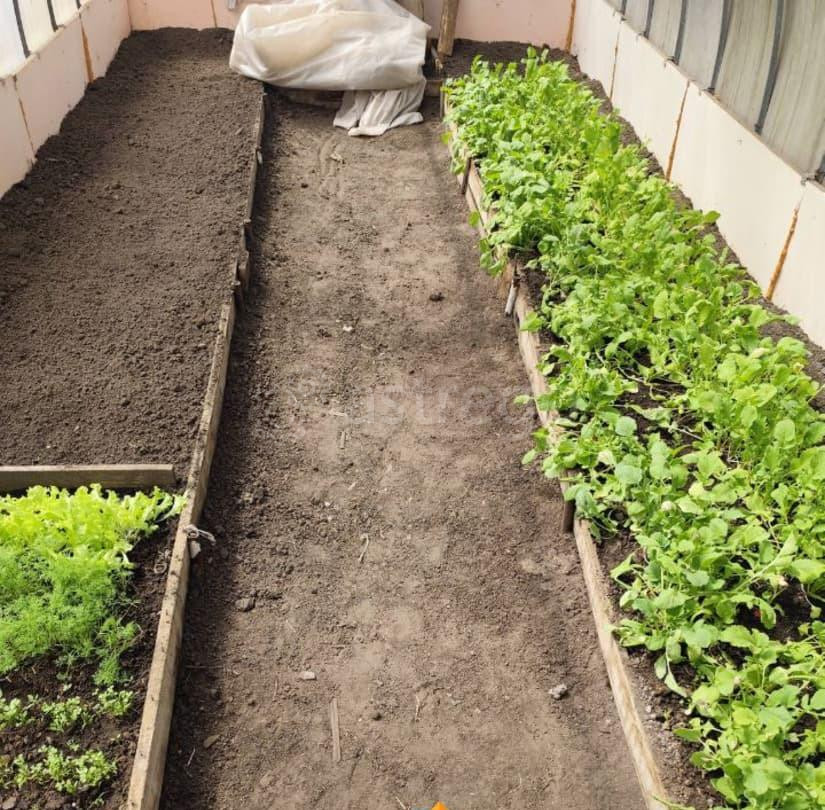 Дом, 78 м2, 26 соток, 1 эт. Павловск - изображение 2