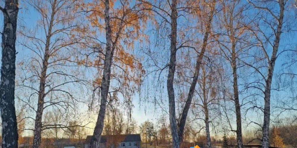 Склад, 42000 м2 Чишмы - изображение 4