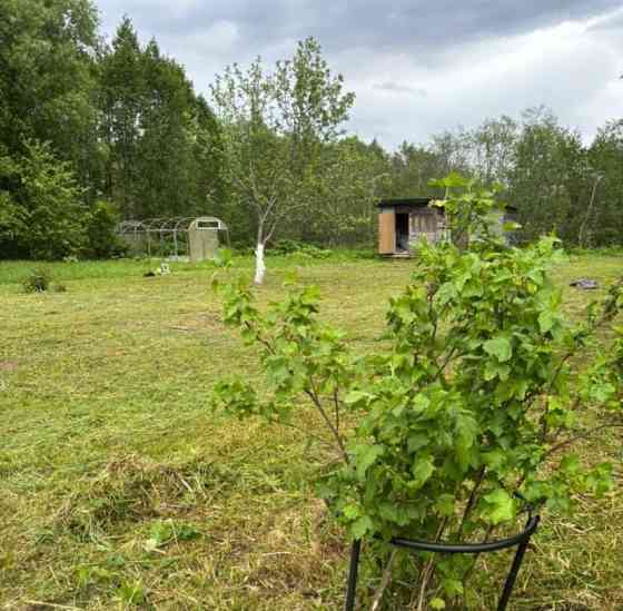 Дом, 24 м2, 15 соток, 1 эт. Шаховская