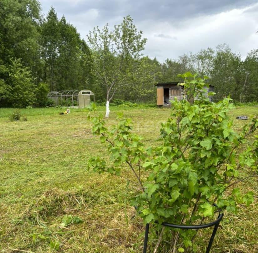 Дом, 24 м2, 15 соток, 1 эт. Шаховская - изображение 4