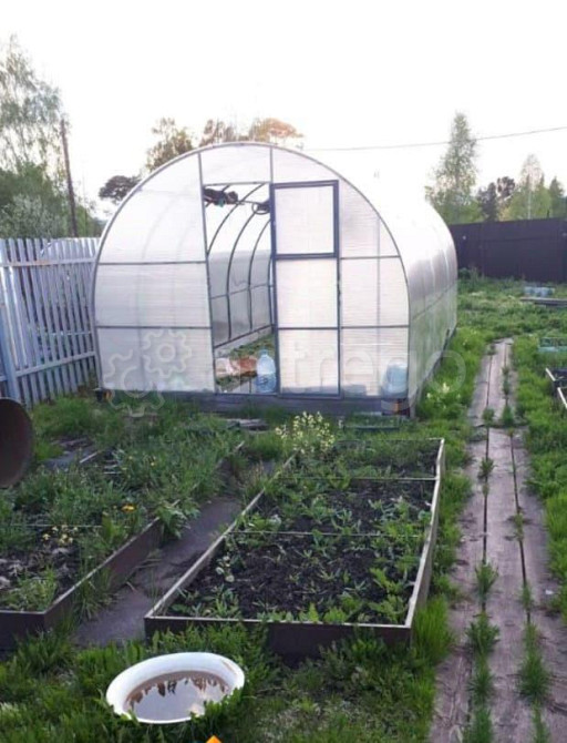 Земельный участок, 6.2 сотки Емельяново - изображение 3