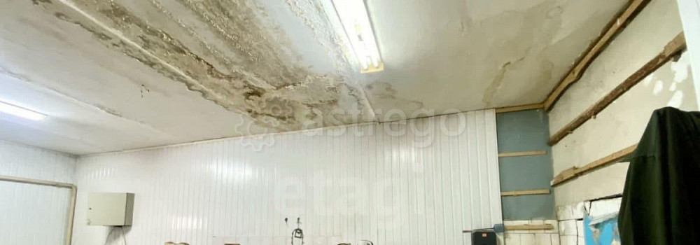 Склад, 62.7 м2 Стрелецкое - изображение 4