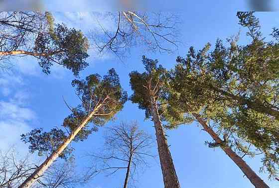 Земельный участок, 12.12 сотки Подольск