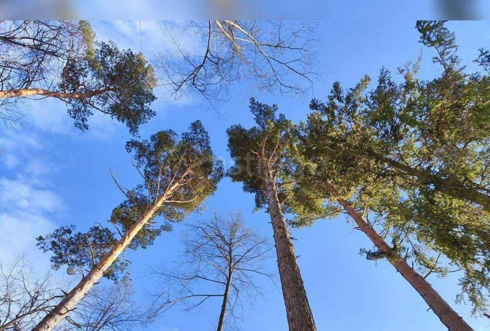 Земельный участок, 12.12 сотки Подольск - изображение 6