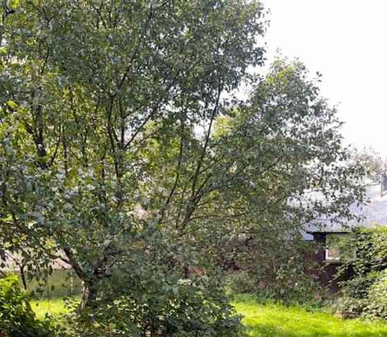 Дом, 280 м2, 12 соток, 3 эт. Домодедово