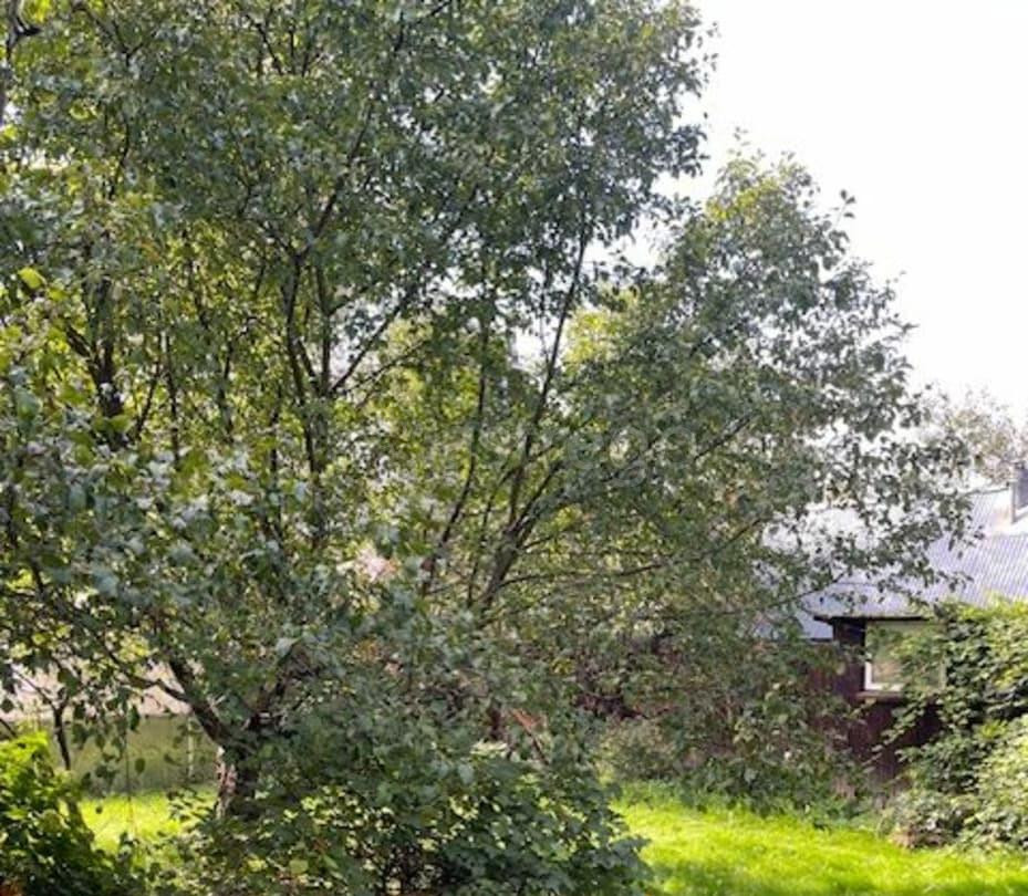 Дом, 280 м2, 12 соток, 3 эт. Домодедово - изображение 4