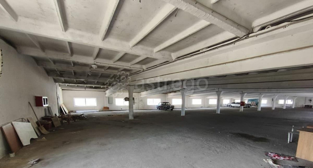 Свободного назначения, 1336.6 м2 Благовещенск - изображение 1