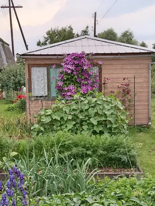 Продам дом 144 м2, 2 этажа, ИЖС 17 соток Конаково - изображение 10