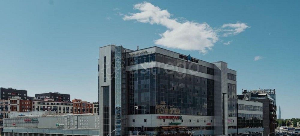 Торговое помещение, 99.4 м2 Санкт-Петербург - изображение 3