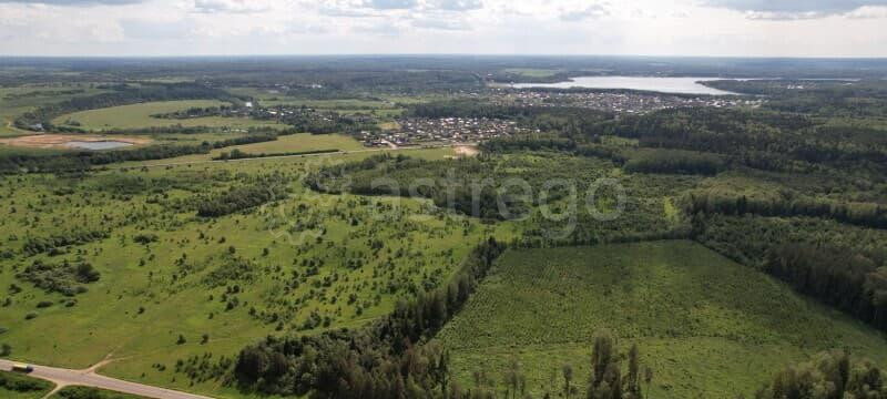 Земля с/х назначения, 10 га Можайск - изображение 2