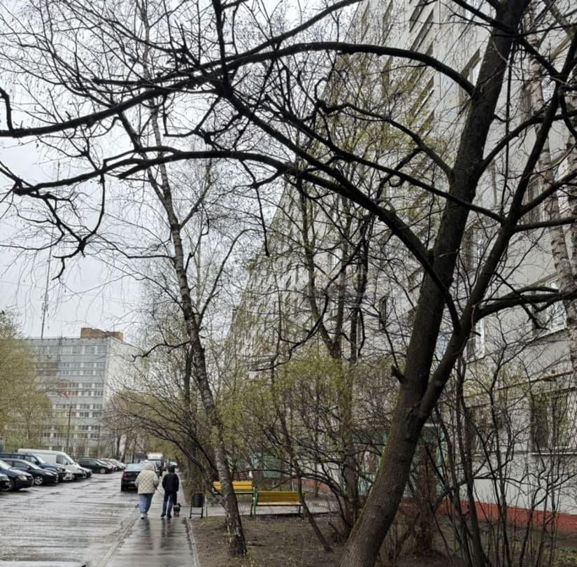 Комната, 28.1 м2, 1/9 эт. Люберцы - изображение 4