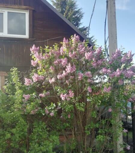 Дача, 28 м2 Уфа - изображение 1