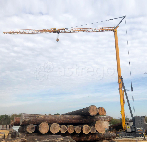 Кран башенный Comansa 5LC4510 — 5 т Владивосток - изображение 1