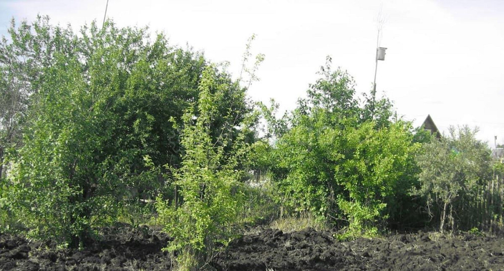 Земельный участок, 4.55 сотки Уфа - изображение 1