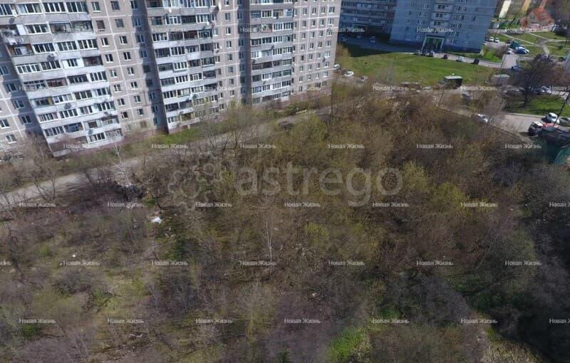 Коммерческий участок, 37 соток Видное - изображение 10