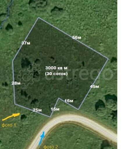 Земельный участок, 30 соток Можайск - изображение 3