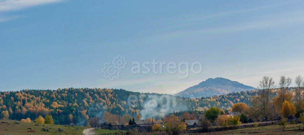 Земельный участок, 16.9 га Алтайское - изображение 4