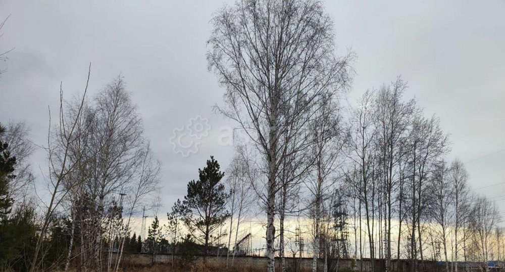 Земельный участок, 10.3 сотки Сосновоборск - изображение 6