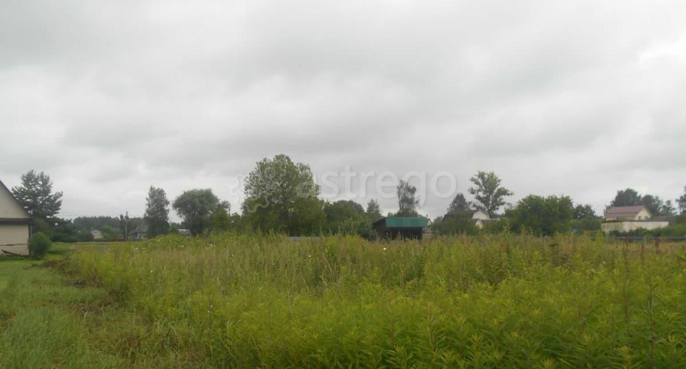 Коммерческий участок, 12.37 сотки Шаховская - изображение 1