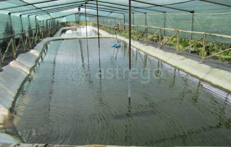 Земля с/х назначения, 0.8 га Зеленоград - изображение 4