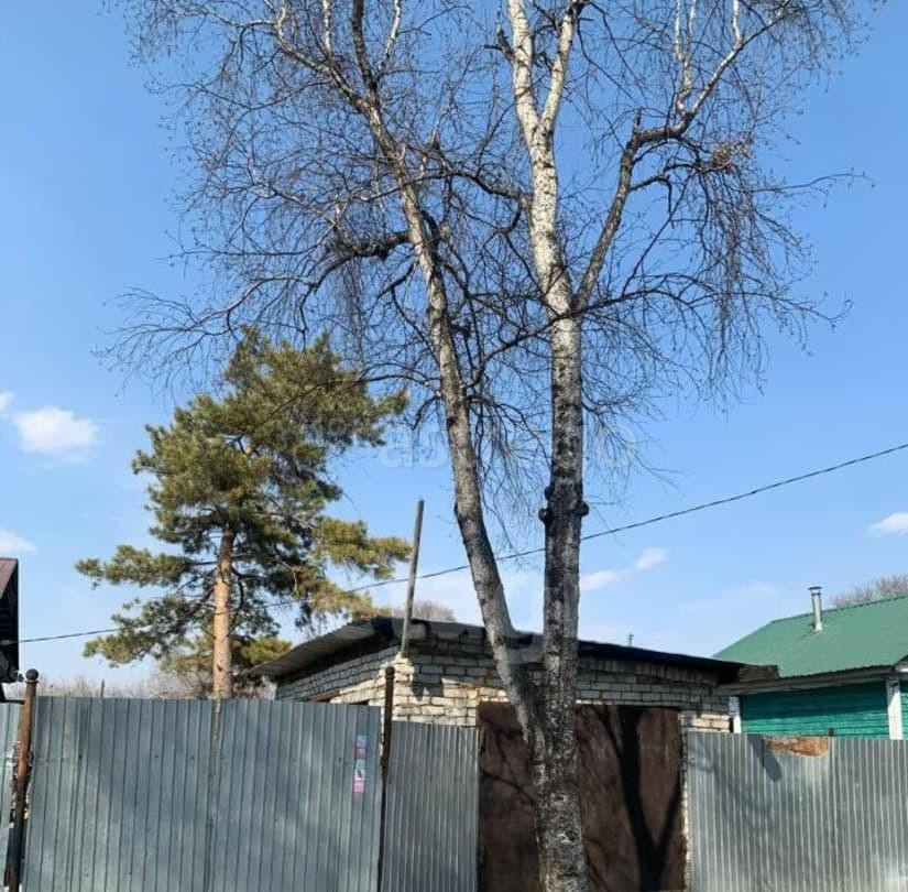 Дом, 27.6 м2, 9.5 сотки, 1 эт. Благовещенск - изображение 7