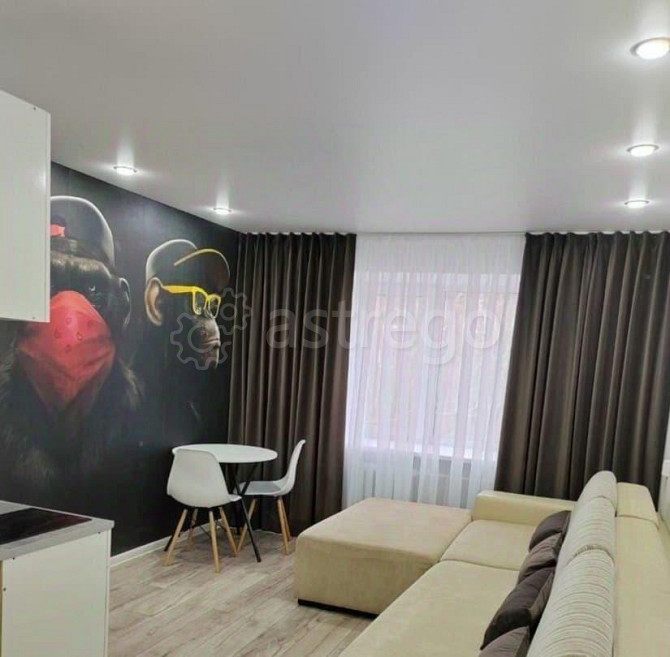 Студия, 21 м2, 4/5 эт. Рубцовск - изображение 3