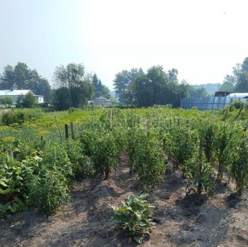 Дом, 144 м2, 13 соток, 2 эт. Белогорск - изображение 5