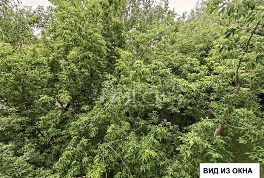 2-комн. квартира, 46 м2, 4/12 эт. Москва - изображение 10