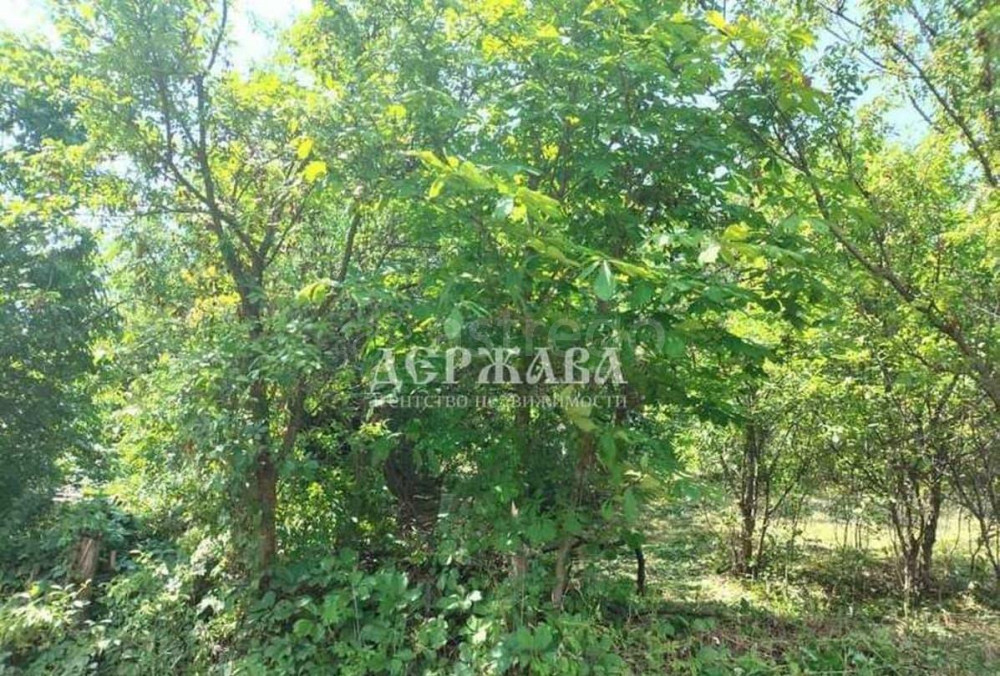 Дача, 20 м2, 8 соток, 1 эт. Старый Оскол - изображение 5
