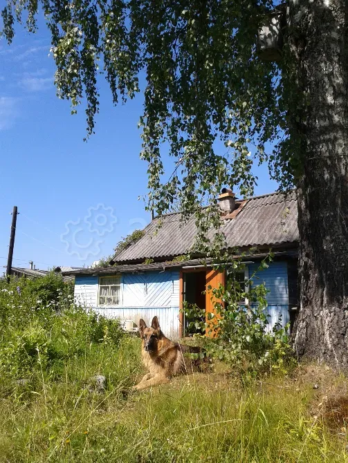 Продам Участок, ИЖС, 11 сот. Великий Новгород - изображение 2