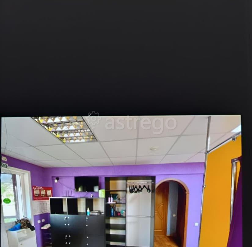 Торговое помещение, 50 м2 Рубцовск - изображение 2