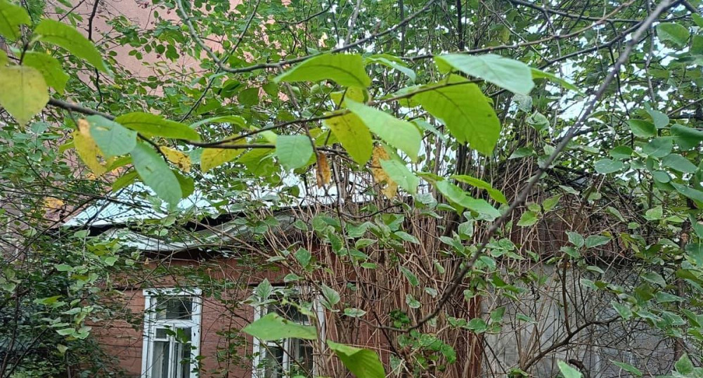 Дом, 50 м2, 8.16 сотки, 1 эт. Королев - изображение 2