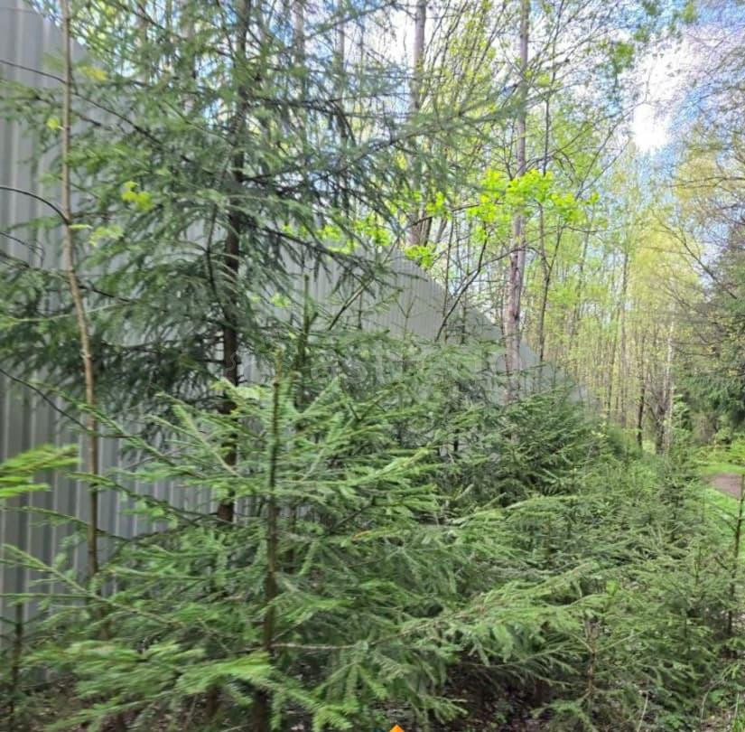 Земельный участок, 15 соток Химки - изображение 2