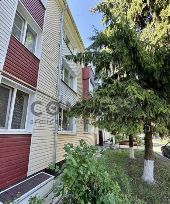 3-комн. квартира, 60.2 м2, 3/3 эт. Северный - изображение 8